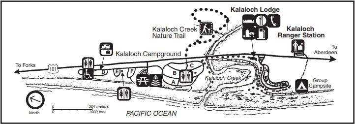 Official map of Kalaloch Campground showing loops and site numbers